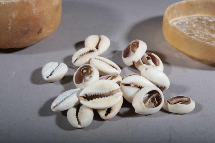 Mali/Can-2025 : un marabout arrêté après la défaite des Aigles