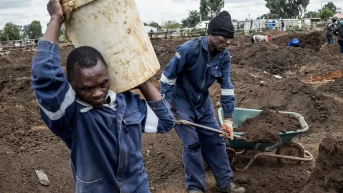 Afrique du Sud: Une curieuse fièvre de l’or