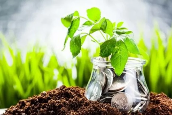 Financement : Le Cameroun mise sur les obligations vertes