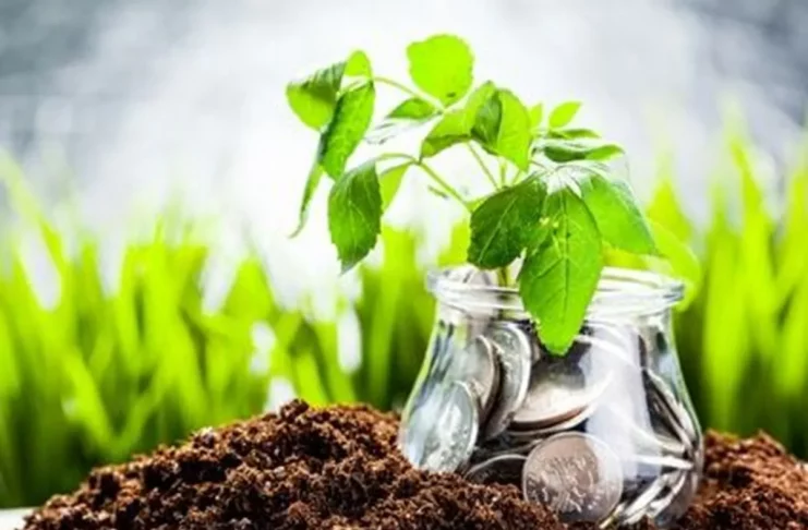 Financement obligations vertes