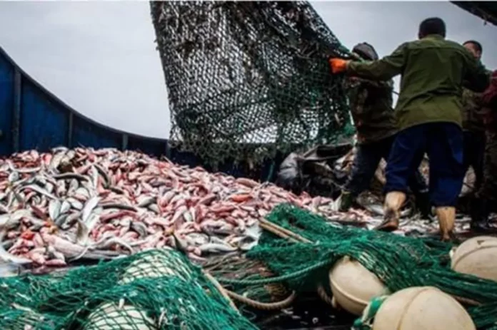 Pêches et élevage : Une nouvelle charte de performance adoptée