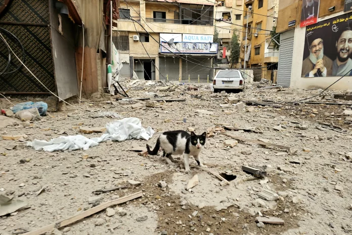 Tyr sous les bombes : les derniers habitants du Liban-Sud refusent de partir