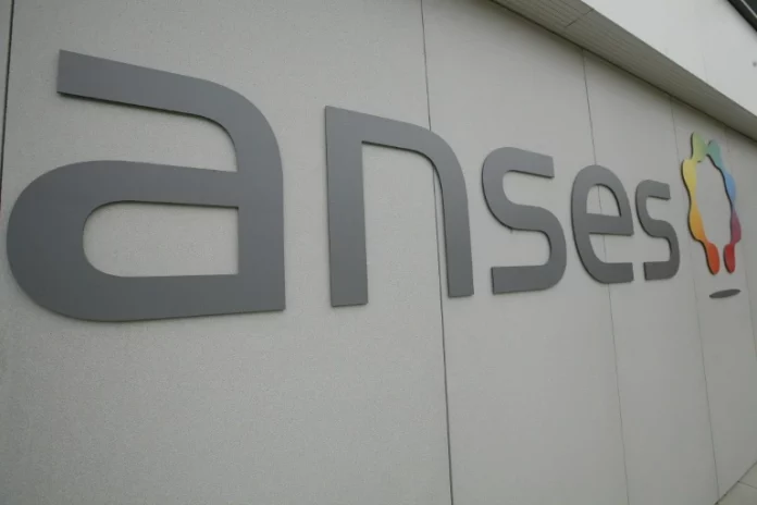 Exposition au cadmium dans l’alimentation en France : l’Anses exige une réforme urgente des fertilisants agricoles