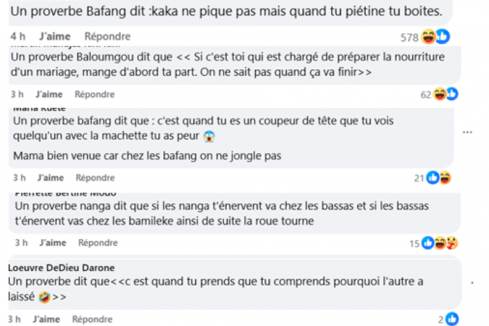 Réseaux Sociaux : Facebook envahi par les « spécialistes des proverbes »