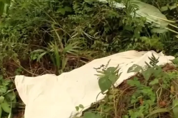 Eséka : Il tue son cousin avec la machette pour un terrain