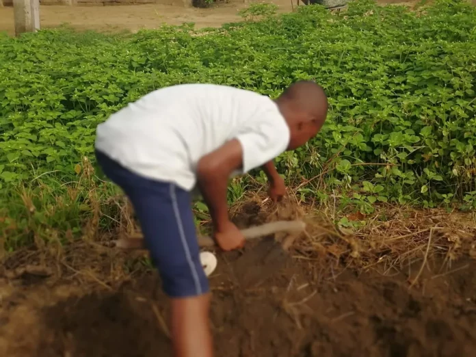 Perturbations climatiques: Les agriculteurs très inquiets