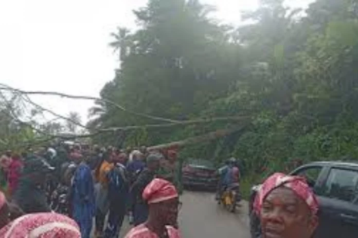 Axe de Pouma : Un grave accident bloque la circulation