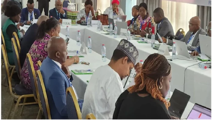 Transparence climatique : un atelier régional à Douala