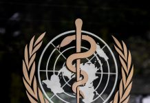 OMS : Une Assemblée annuelle sur fond d’hantavirus et d’Ebola OMS EBOLA HANTAVIRUS