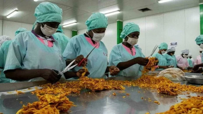 Cameroun : 75% des PME disparaissent avant 5 ans