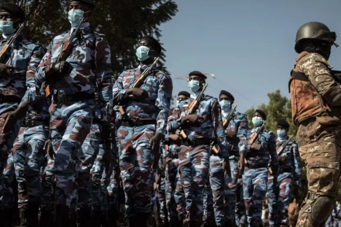 Mali : L’armée reprend Anéfis