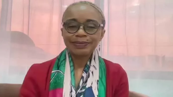 Paul Biya à l’étranger : L’Udc veut un vice-président