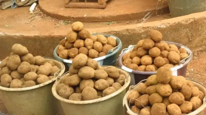 Pommes de terre : La baisse des prix se confirme à Douala