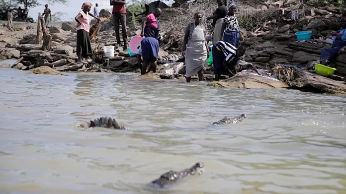 Kenya : Des villages menacés par les crocodiles après la crue des lacs