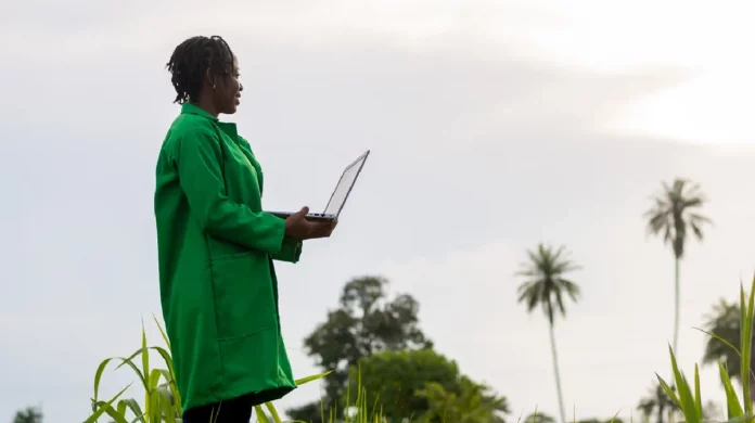 Agriculture numérique : Limbe, capitale des innovations