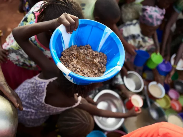 Insécurité alimentaire : Des millions de Camerounais exposés