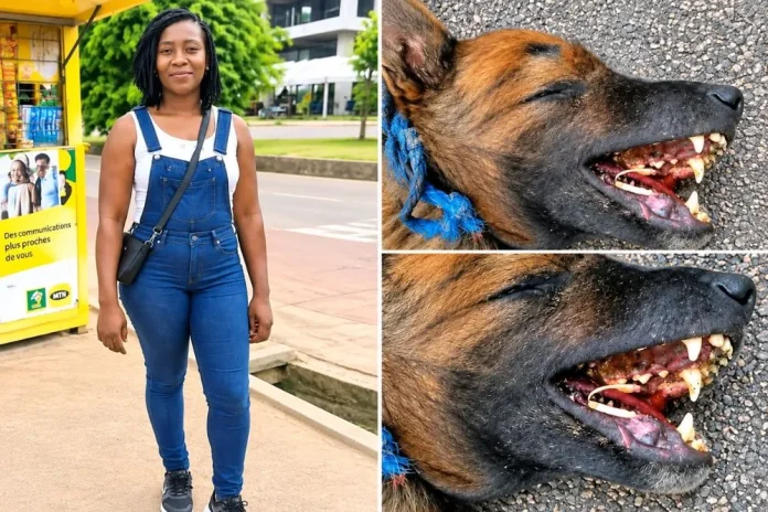Édéa : Une ménagère mortellement attaquée par des chiens