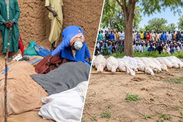 Logone-et-Chari : Au moins 15 morts dans une attaque